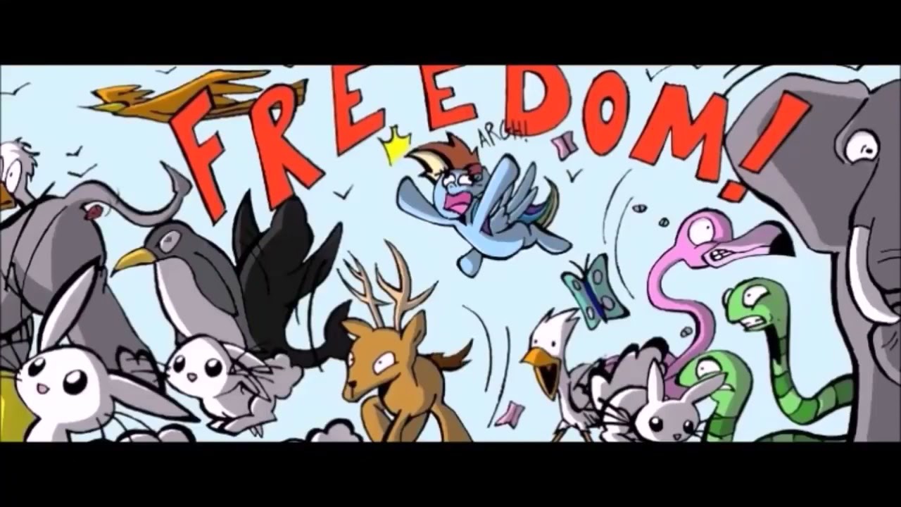 Comics de MLP Kai(loquendo) Parte 93 - Cuarto Especial de Fluttershy (video de kamuix5)