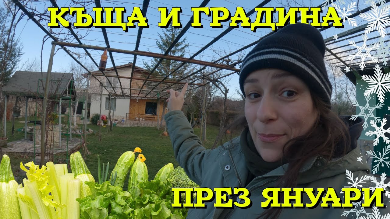 Моето най-любимо място. Парник в Богьовци през ЯНУАРИ.