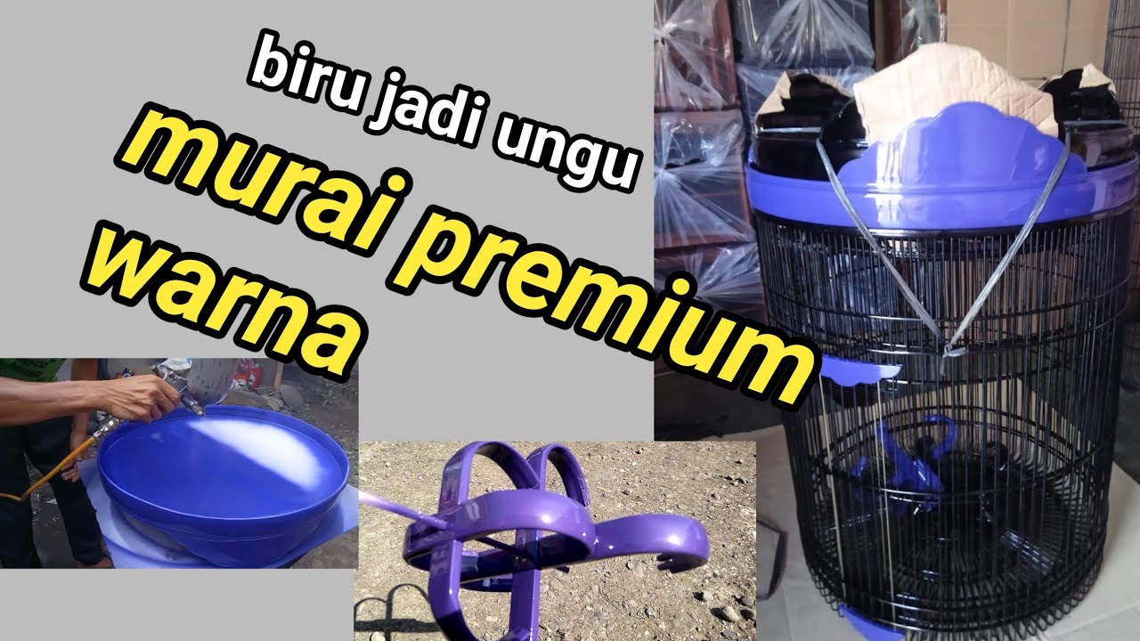 Pengecatan sangkar murai premium warna