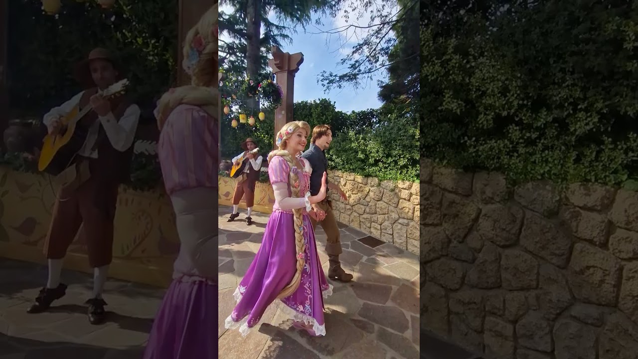 Rencontre Musicale avec Flynn et Raiponce