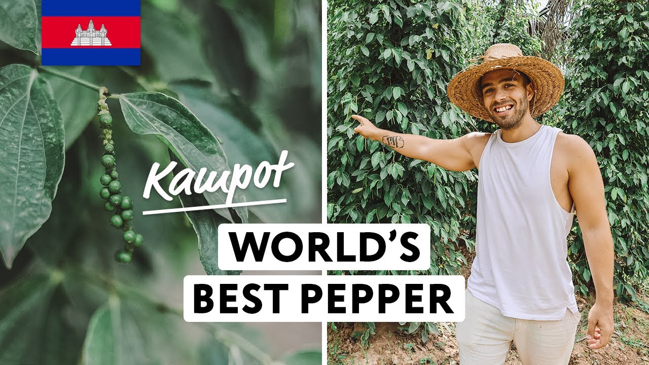 We Tried World's Best Pepper (and got stuck in a village 😱)