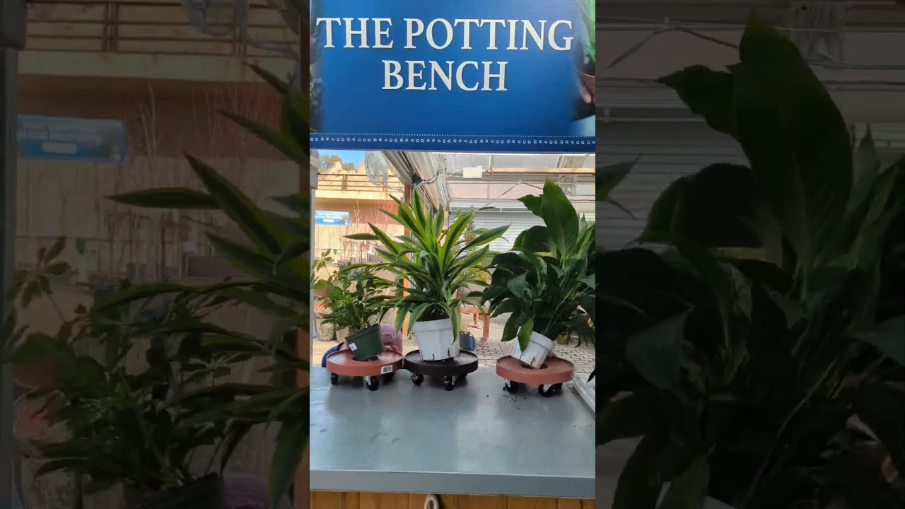 The "Greenhouse Energy"