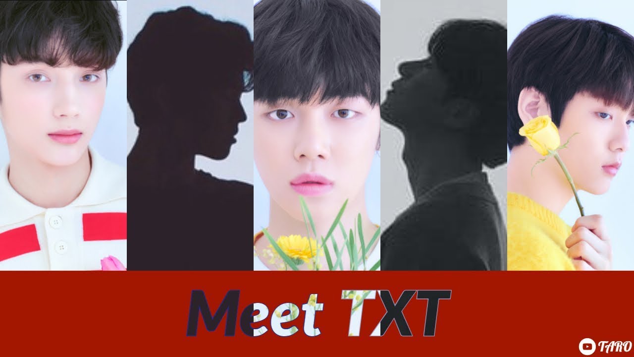 Meet all the members of TXT