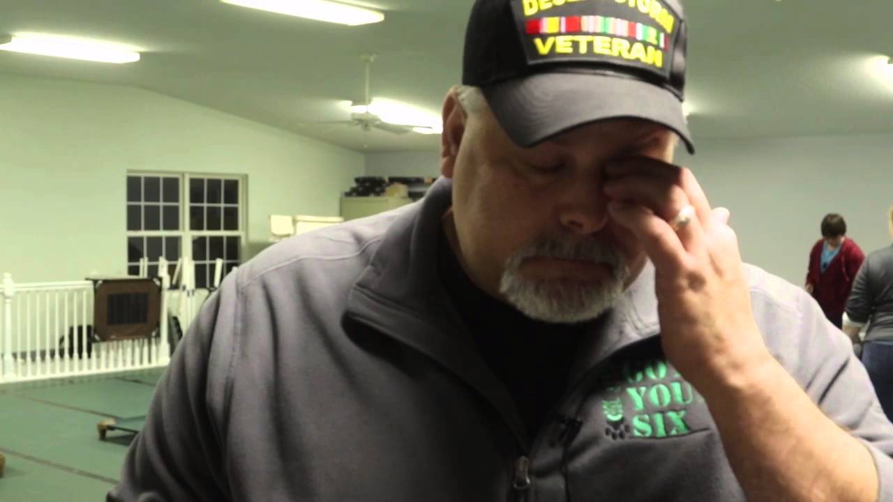 PTSD Dogs Help Veterans Heal
