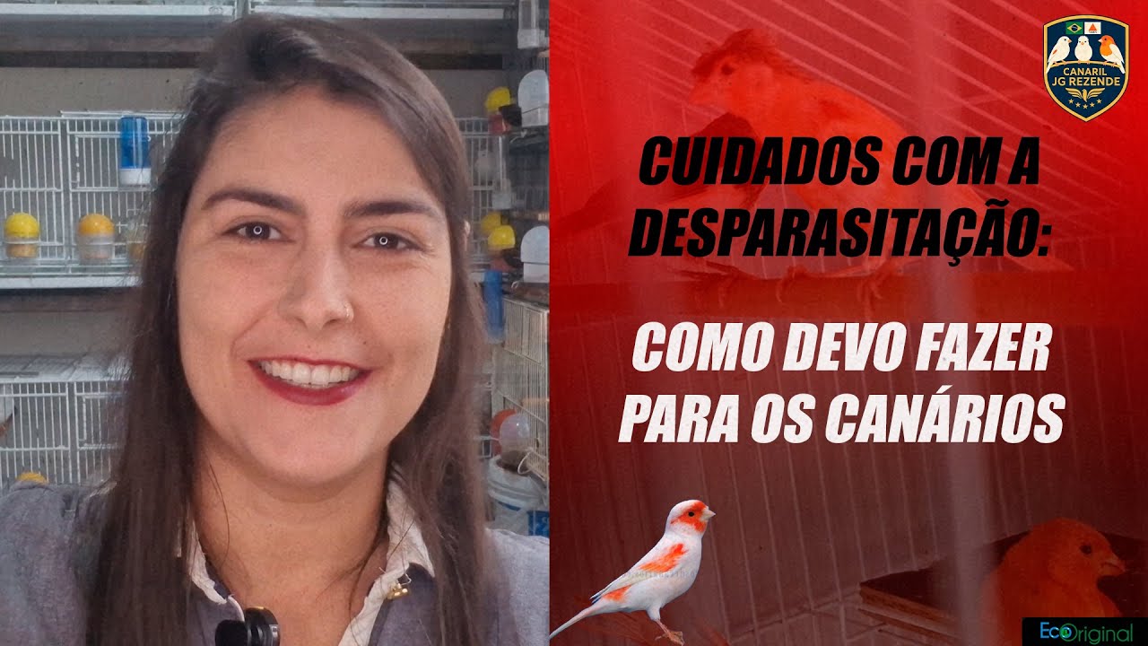 Cuidados com a Desparasitação: Como devo fazer para os canários