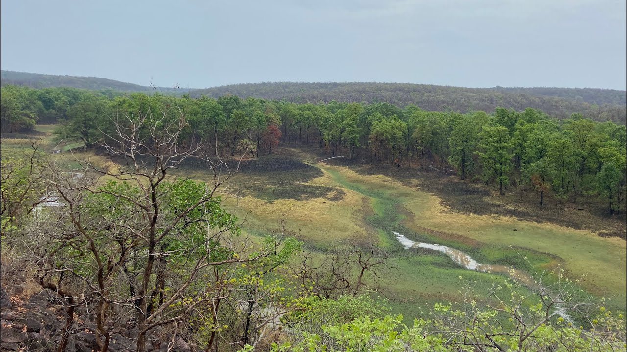📍 Ratapani Wildlife Sanctuary &ndash; Hidden gem of Madhya Pradesh!