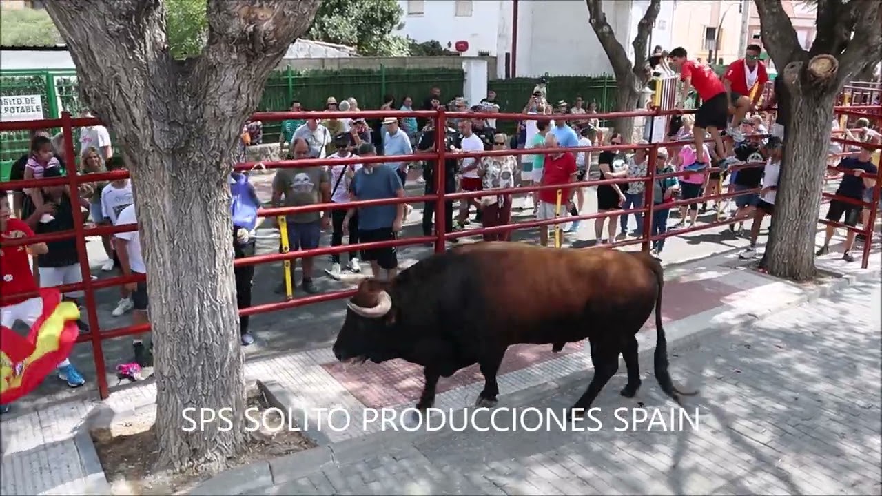 ENCIERRO EL CASAR 9-9-2025. SPS Solito Producciones Spain