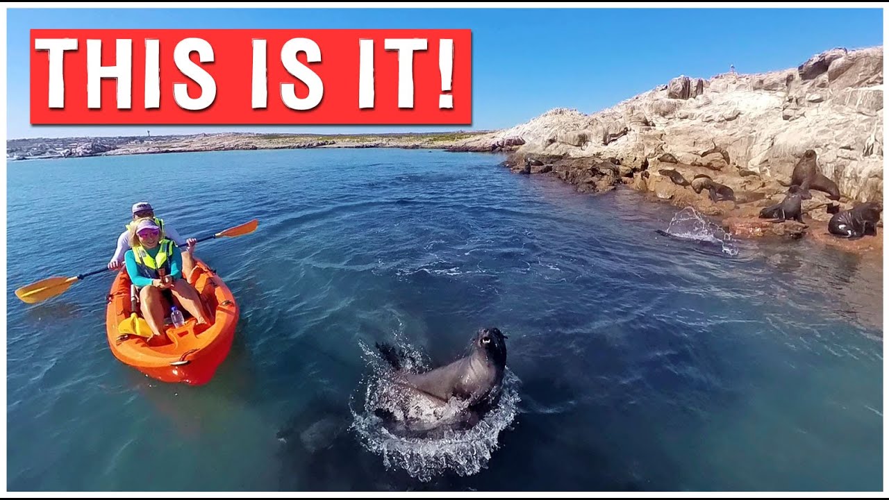 S23EP03 | SOUTH AFRICA We Kayak with Seals on Our Last Day