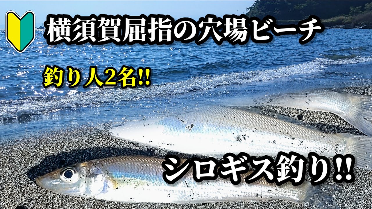 【魚釣り】首都圏穴場ビーチでシロギス釣り‼この日の釣り人は2名!!のんびりちょい投げ釣りです‼