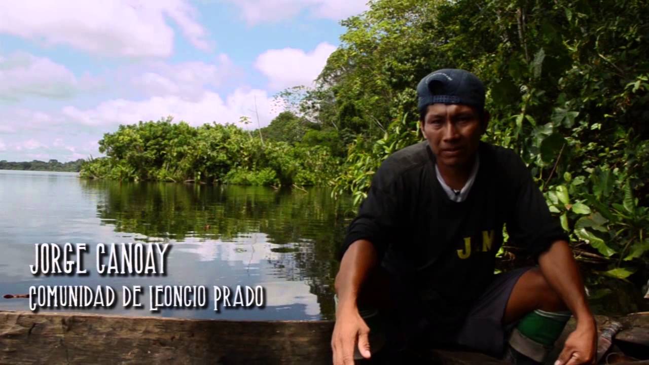 Viaje al corazón de la Reserva Nacional Pacaya Samiria