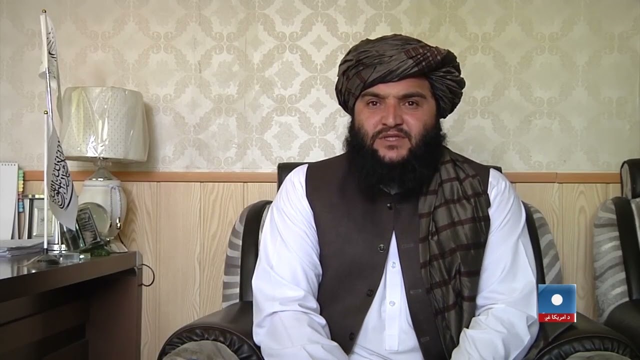 غزني کې د شترمرغ فارمونه