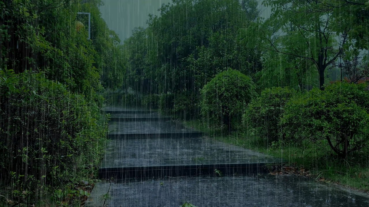 ✅青石板暴雨聲  超治癒ASMR白噪音  深度睡眠·冥想·讀書·專注  沉浸式雨夜氛圍 ，Rain on Stone, Relaxing Sounds ,  Rain Sounds for Sleep