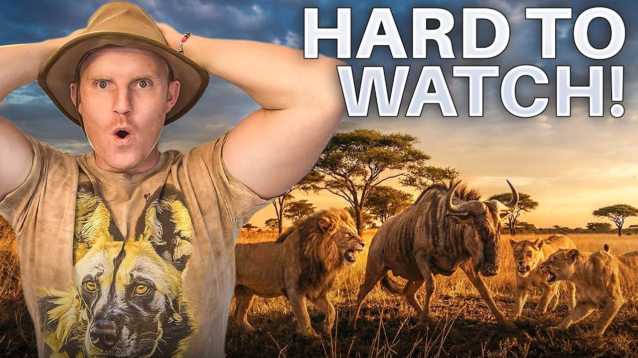 I Wasn&rsquo;t Ready for This&hellip; | Kruger Safari Gone Wrong