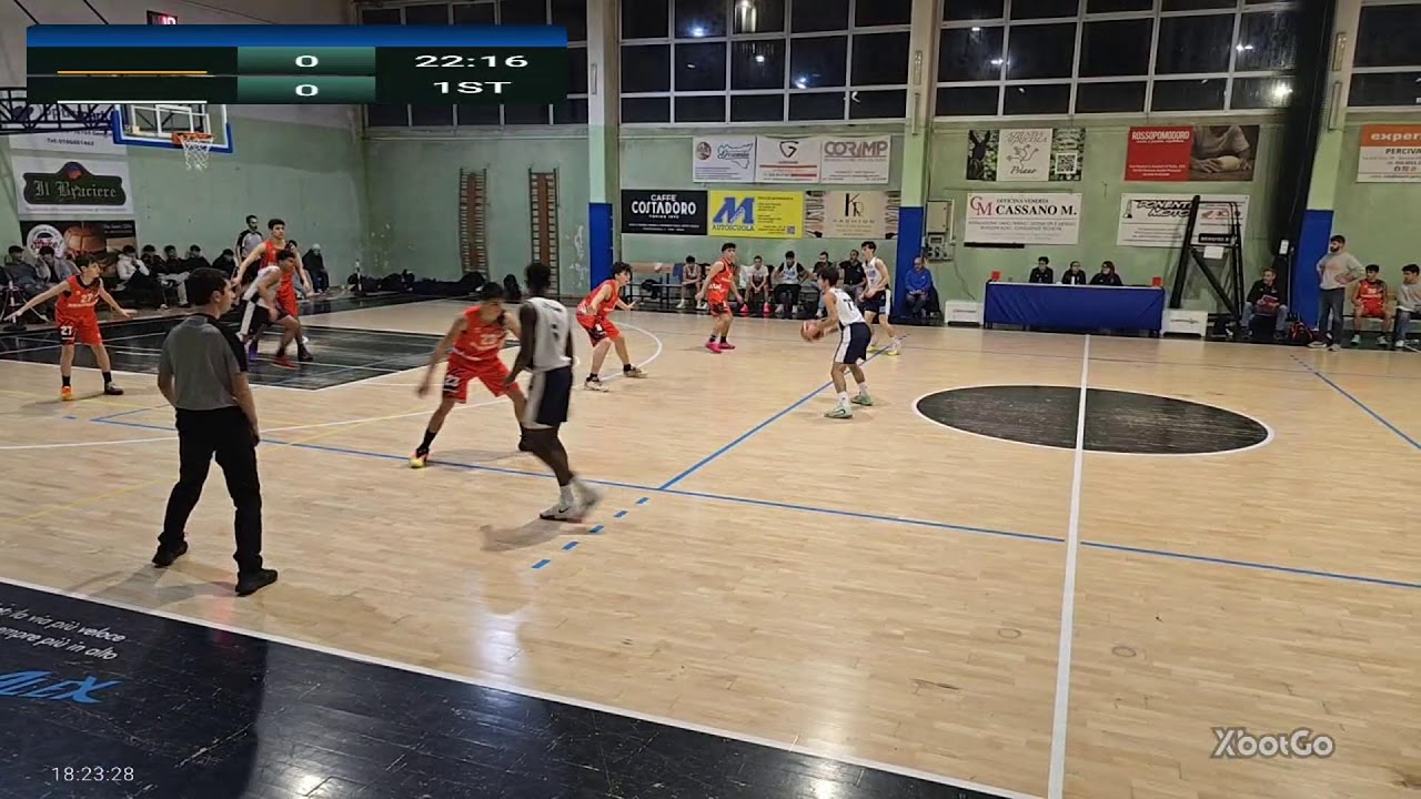 Seagulls vs Leopardi 1