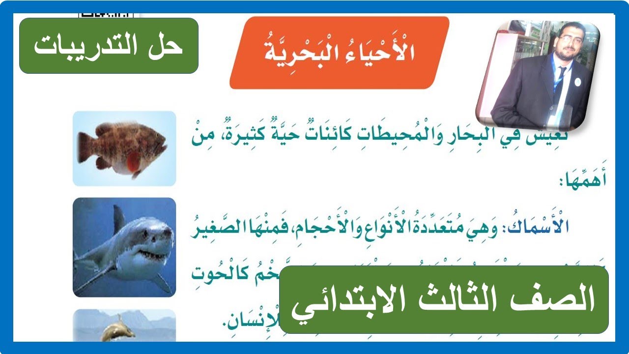 حل تدريبات الأحياء البحرية الصف الثالث الابتدائي لغتي