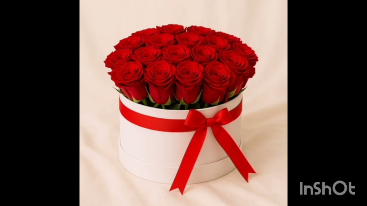 محتاجلك أوووي أوووي ❤️عايزك بأي طريقة❤️بيحبك موووت ❤️🌹❤️