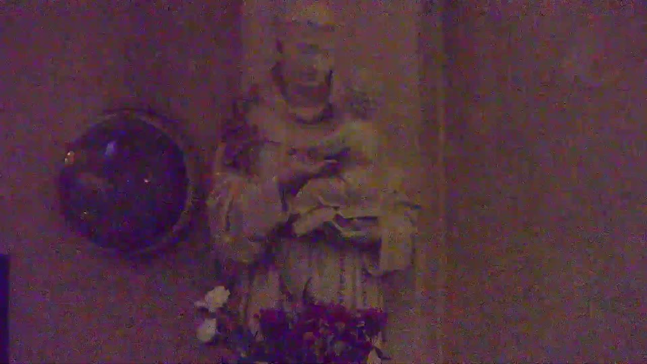 Messe de 9h, Grand-Messe de 10h30 et de 12h - dimanche 15 février 2026