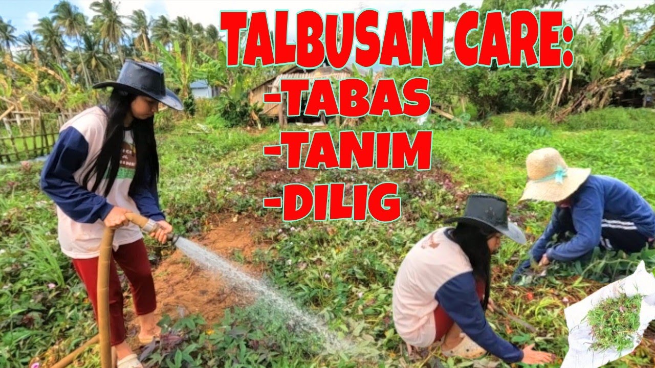 Pagtulong kay lola ni Manang Bibi🦆| Pagtatabas, Pagtatanim at Pagdidilig sa Bukid