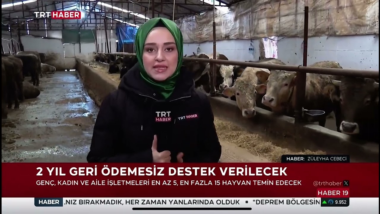 GEN&Ccedil; YETİŞTİRİCİLERE HAYVANCILIK DESTEĞİ