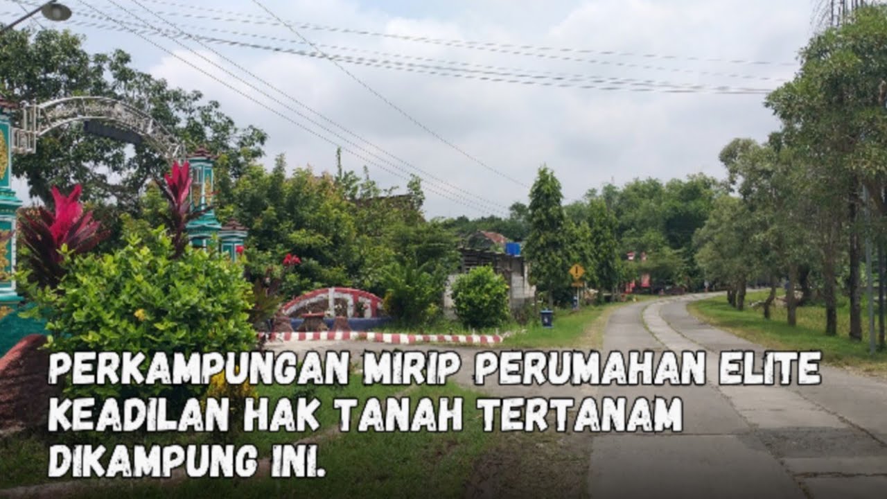Perkampungan Mirip Perumahan Elite || Luas Tanah Warga Sama Semua
