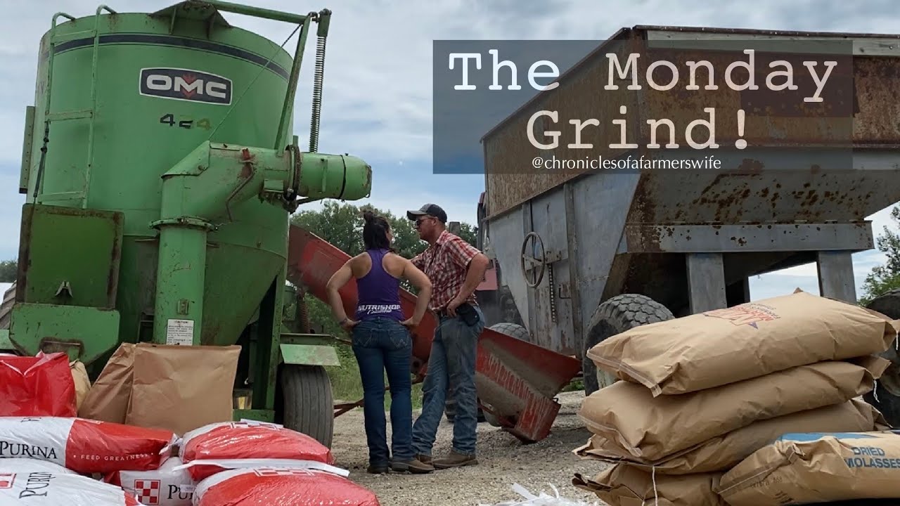 Vlog 103: The Monday Grind ...Mixin & Grindin Calf Creep Feed   #purina #cowcalf #HerdManagement