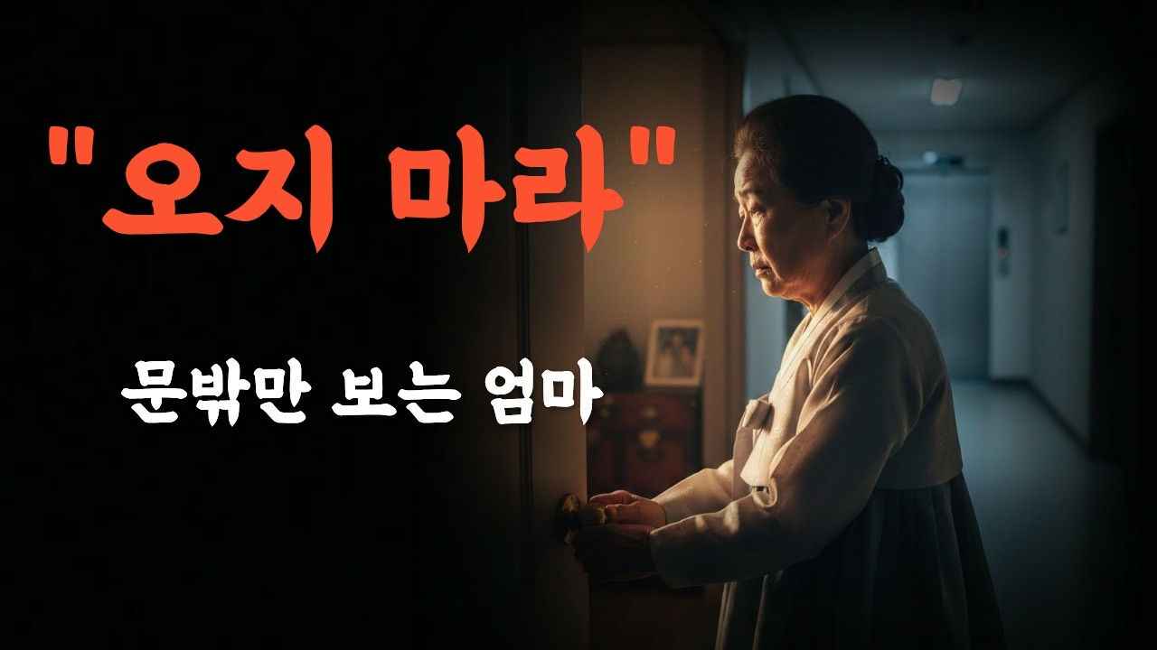 명절 끝나고 더 외로운 이유… 자식이 아니라 ‘이것’ 때문입니다 쇼펜하우어