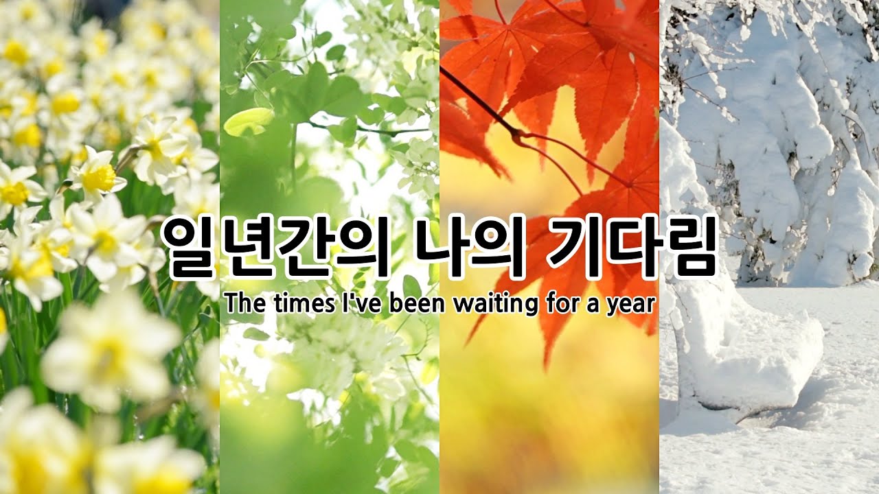 일년간의 나의 기다림 | 한국의 사계절을 담은 감성영상 | 한국의 봄 여름 가을 겨울 | 자연풍경