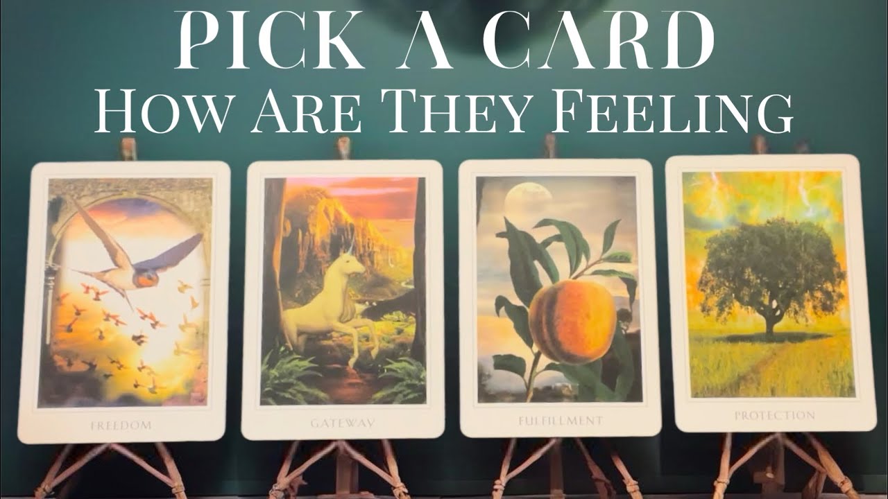 😘🫣How Are They Feeling❤️🌹PICK A CARD Tarot Reading #tarot #tarotreading #pickacard #healing #love