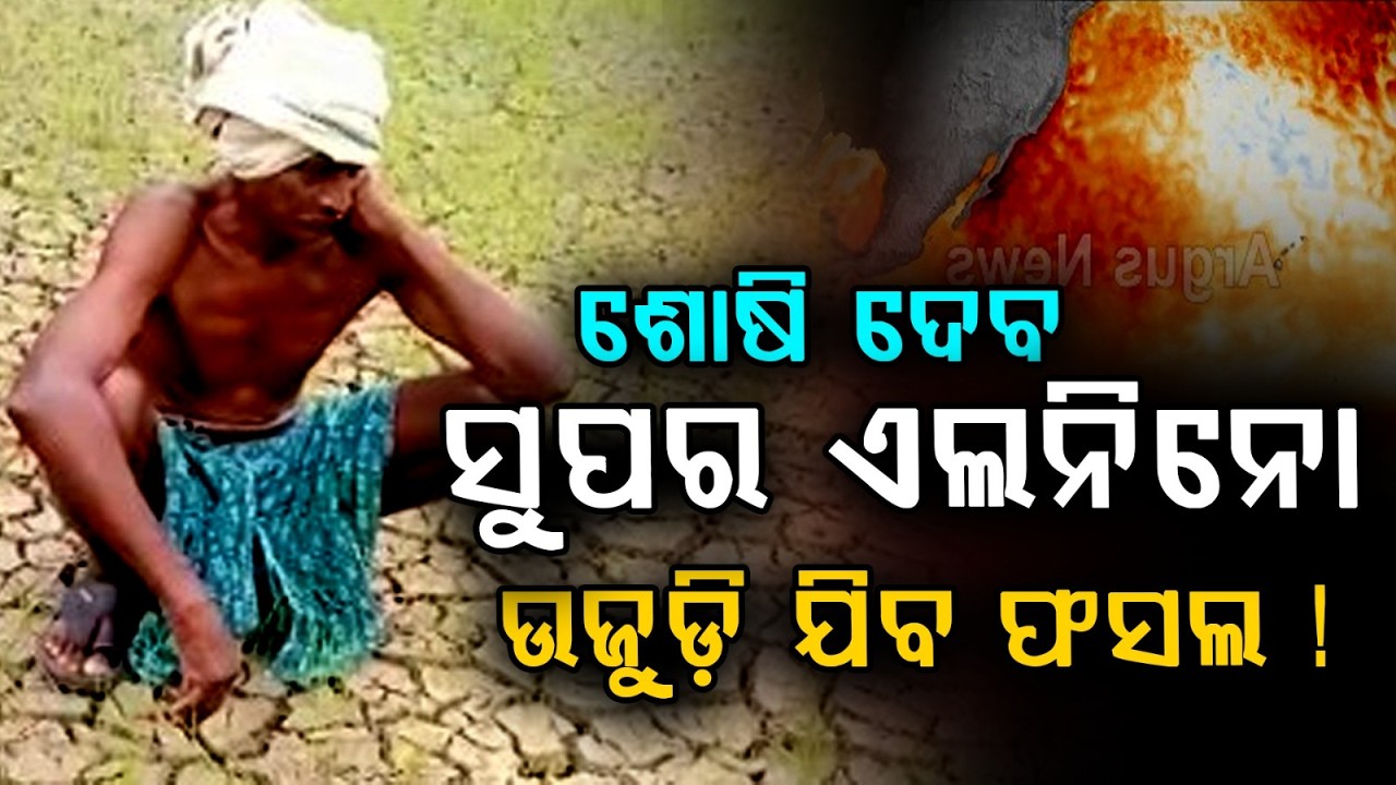 ହଜିଯିବ ମୌସୁମୀ ବର୍ଷା | Monsoon Rainfall Likely to Decline, Drought Fear Rises