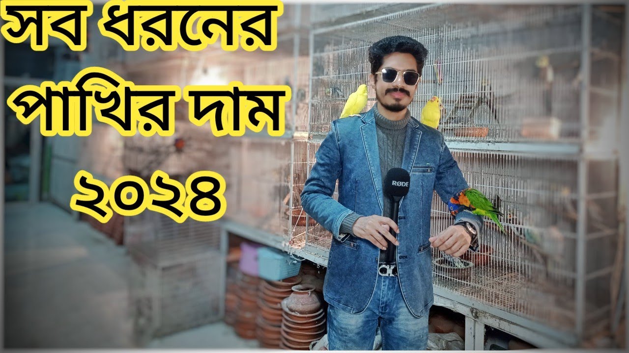 সব ধরনের পাখির দাম জানুন ২০২৪ | All types of Birds price in Bangladesh 2024 | Birds Price Rajshahi