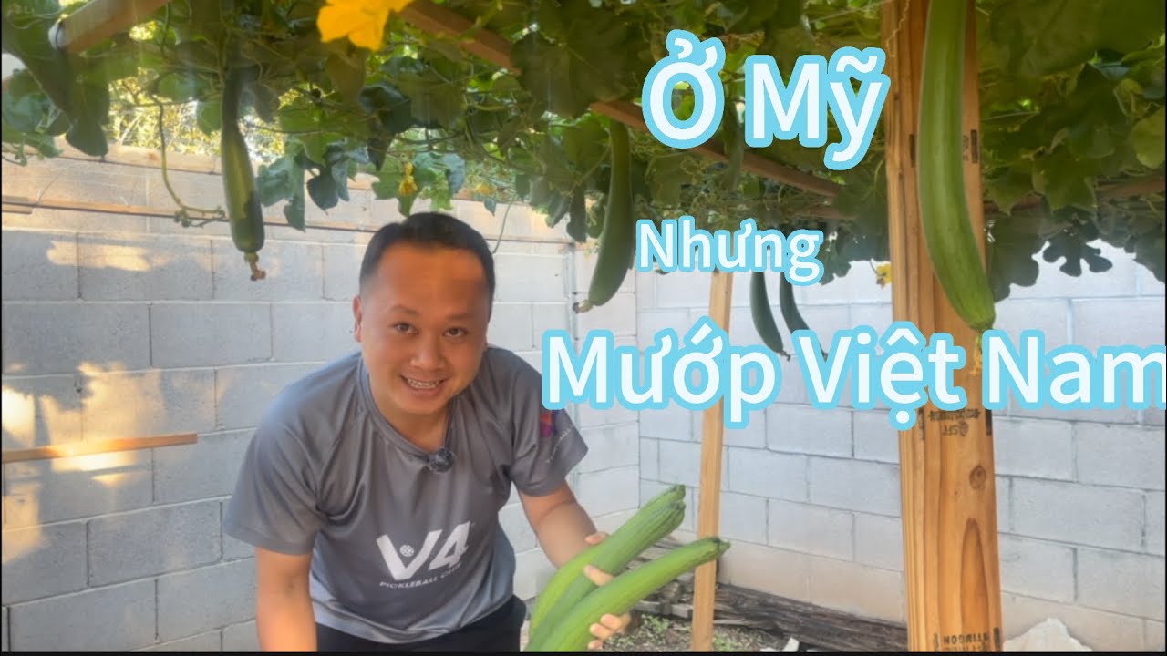 Tự Tạo Niềm Vui Nơi Xứ Người | Đời sống Mỹ- Arizona 