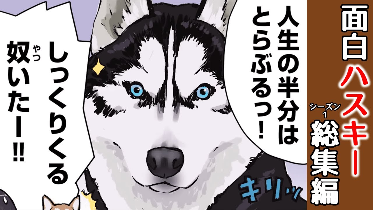おバカすぎる！ハスキーの珍行動 シーズン1 総集編 【世界の終わりに柴犬と切り抜き / アニメ / 漫画】