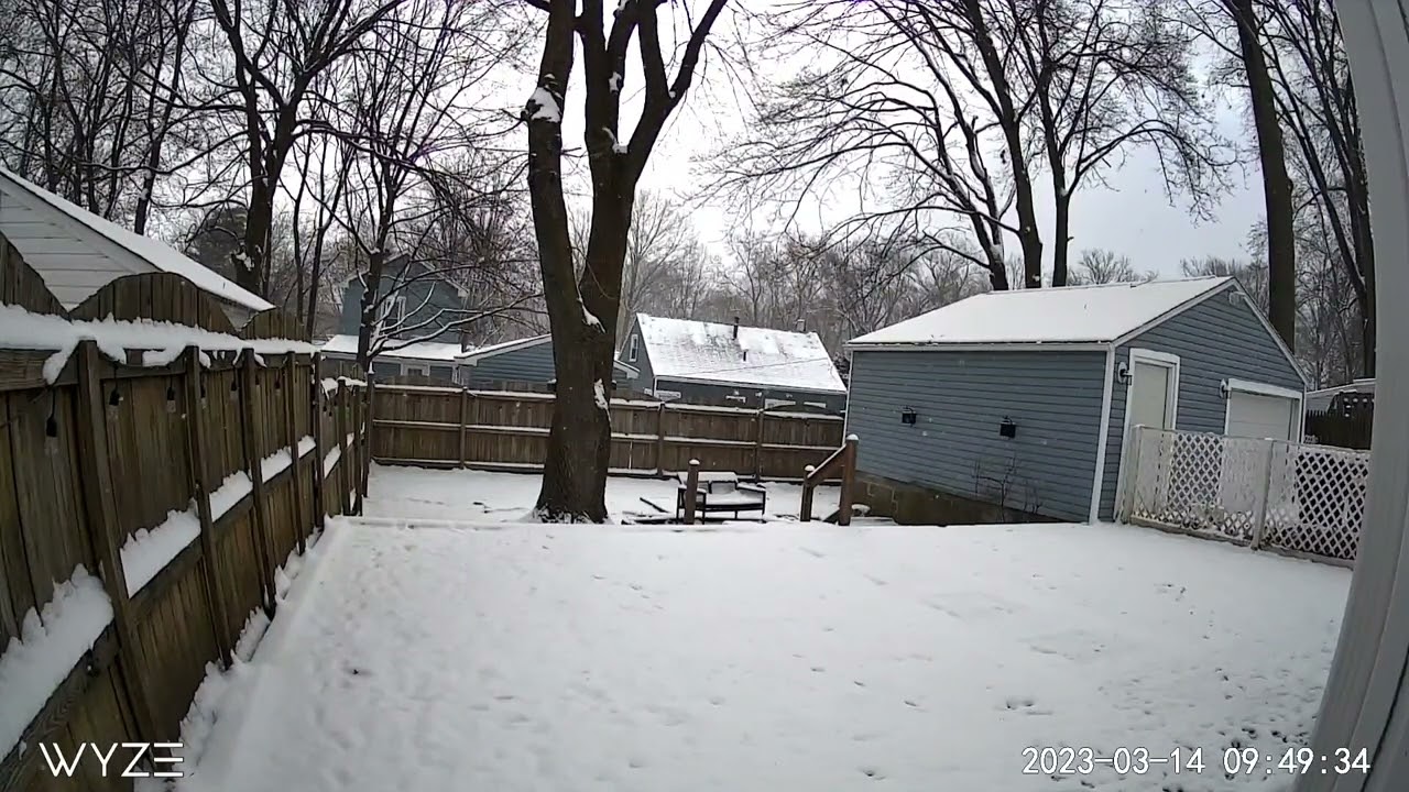 Wyze Cam Pan v3 daylight video sample