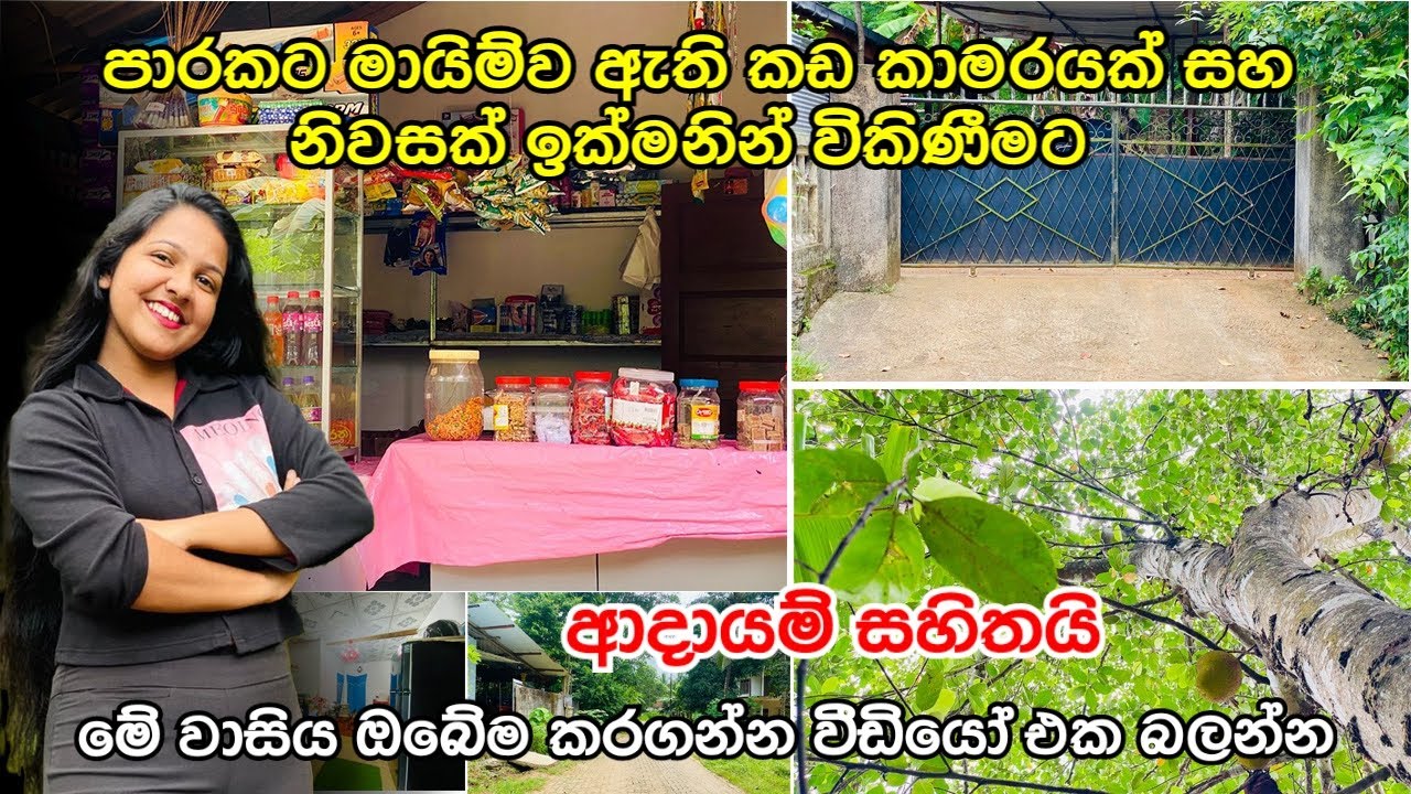 කඩ කාමරයක් සහ නිවසක් පට්ට අඩුවට ඉක්මනට ගන්න හොයන කෙනෙකුට | පදිංචිවෙලා ආදායමක් ගන්න 