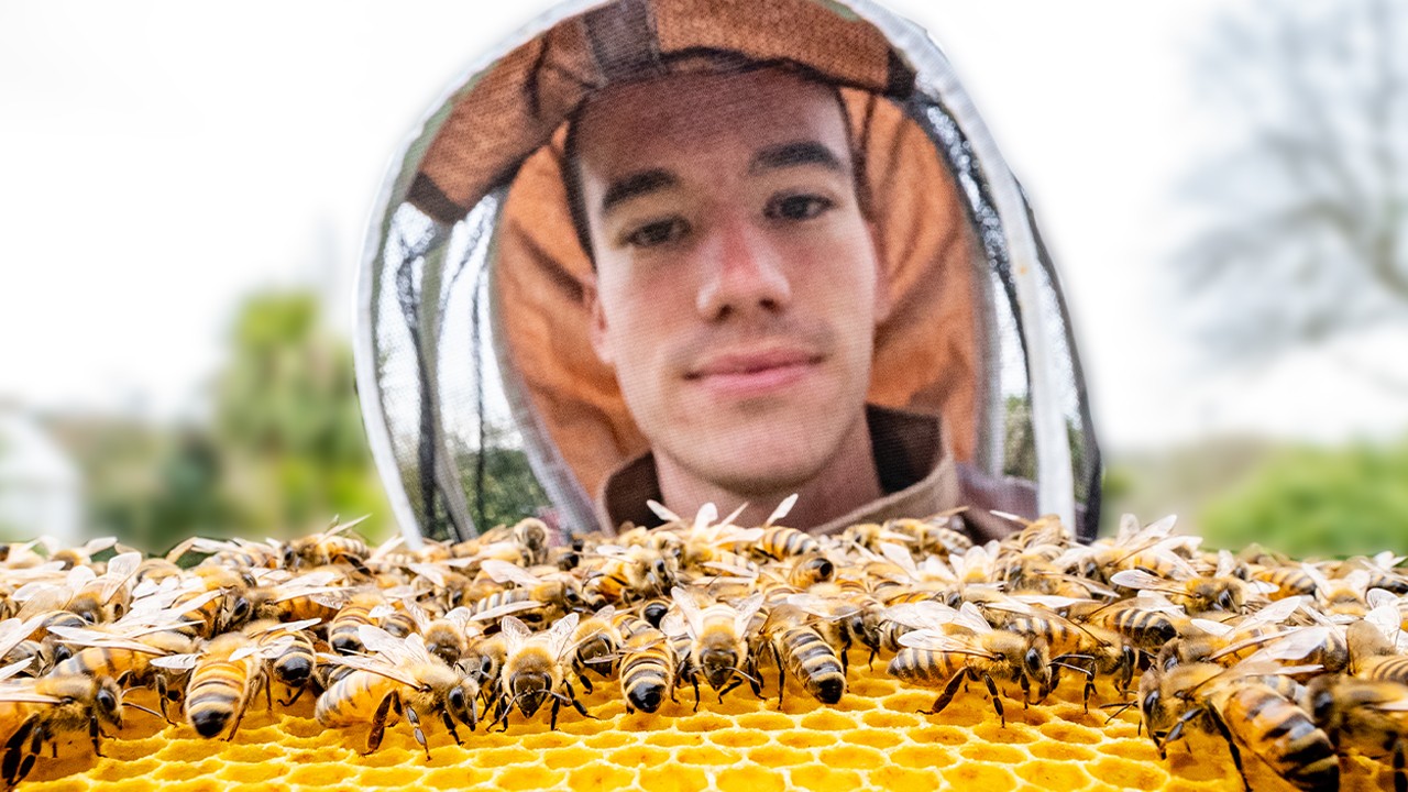 Checking the bees - First Beekeeping inspection of the year (good and bad news)