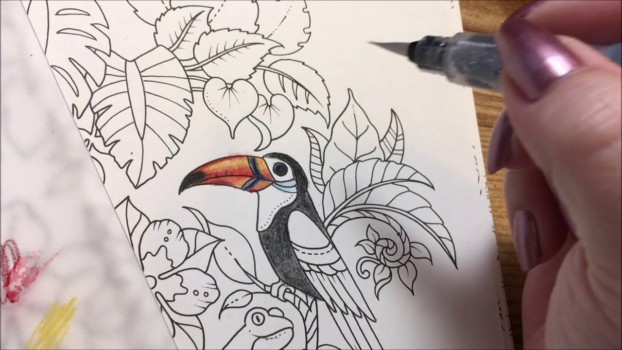 Inktense  Magical Jungle Part 1 of 2