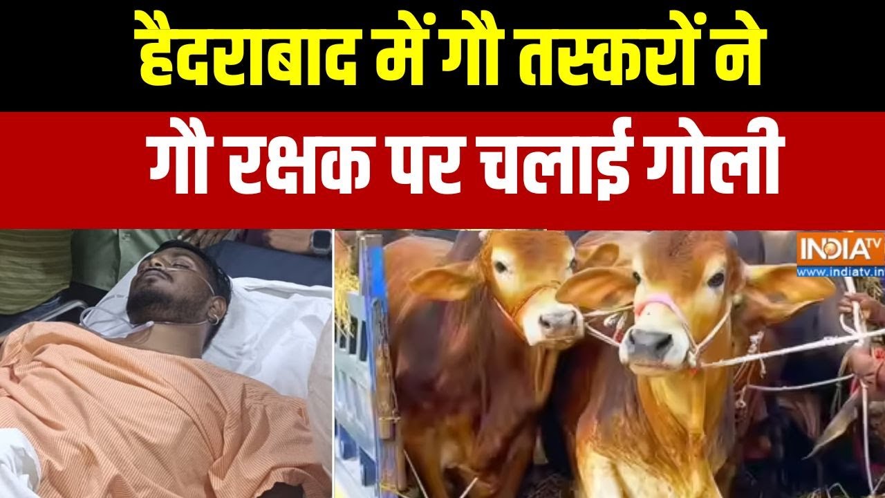 Hyderabad में गौ रक्षक पर जानलेवा हमला, गौ तस्करों ने मारी गोली | Breaking news