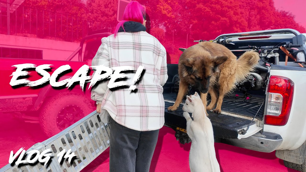 NOS ESCAPAMOS A UN CONCIERTO Y ESTO PASÓ!