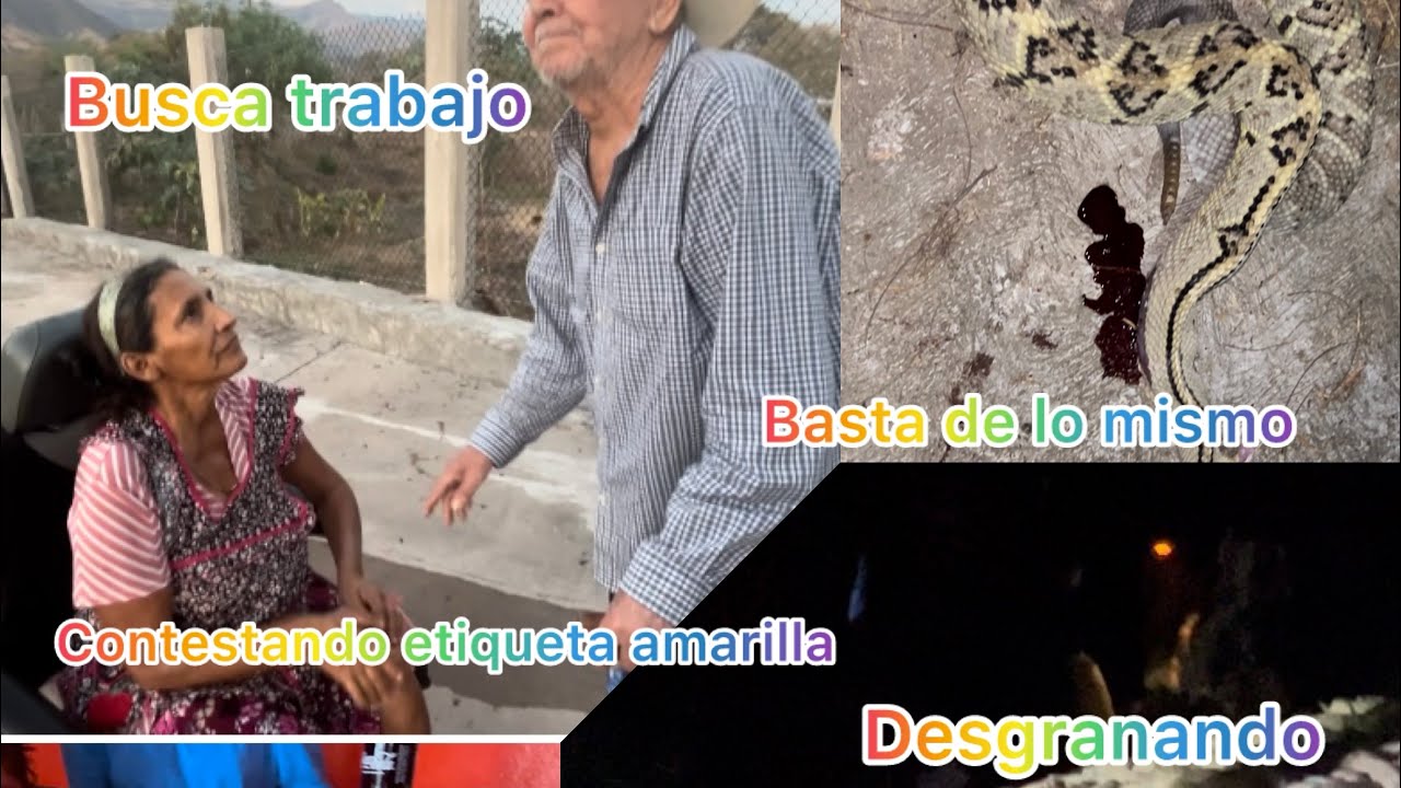 Enfada lo mismo🤬😡/contestando a ticket a amarilla/Desgranando una gran sorpresa🐍#D&eacute;jame decirte