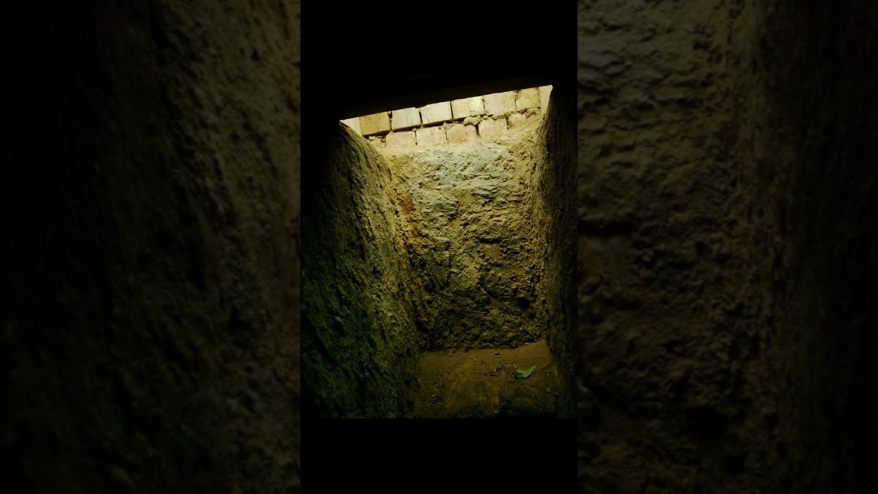 Saddam Hussein's Final Moments: A Shocking Execution