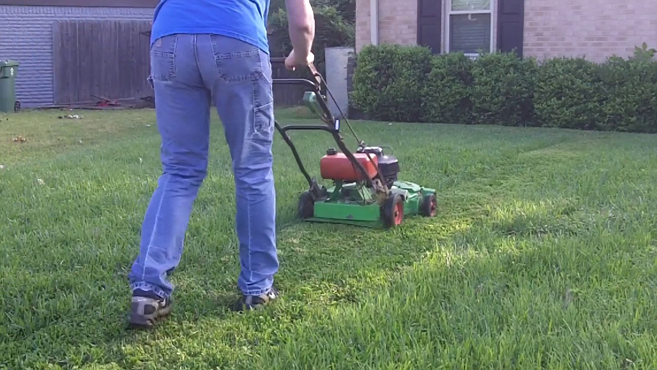 Lawn Mower Comparison: Lawnboy 8461 vs Lawnboy M Series