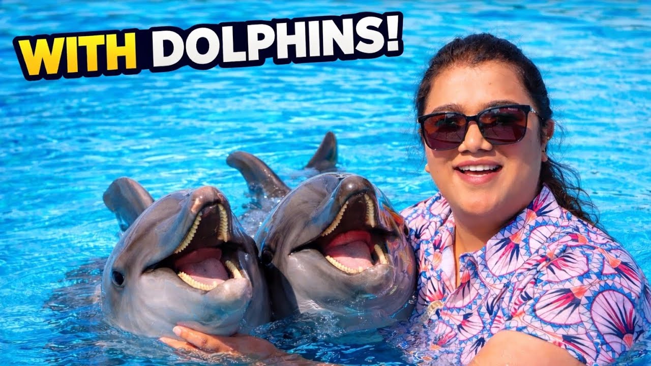 ಯಪ್ಪಾ ಯಪ್ಪಾ dolphin ಆಟ ತುಂಟಾಟ ನೋಡಿ| Dubai vlog @VaishnaviChandrashekar