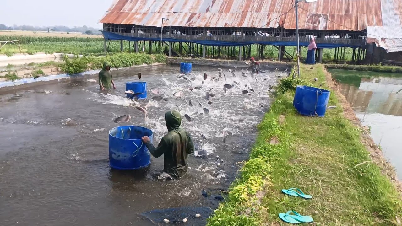 pilih resiko terkecil kalau harus mengambil keputusan berat