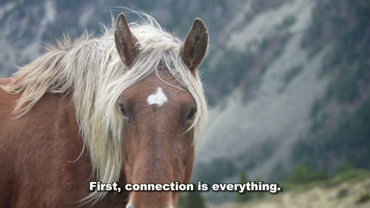 7 Legendary HORSES Who Changed History &mdash; Could Yours Be Next? [Epic Bonds]