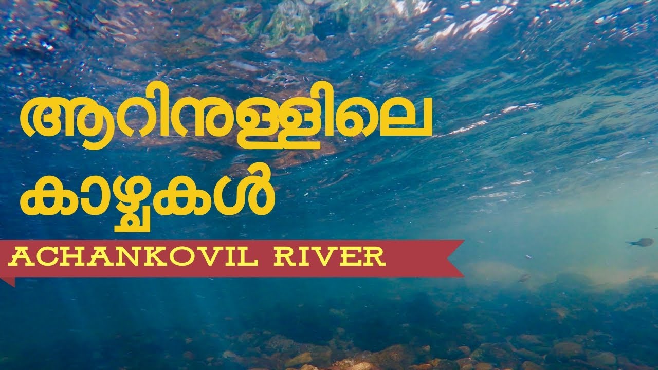 Underwater views of Achankovil River - Kerala