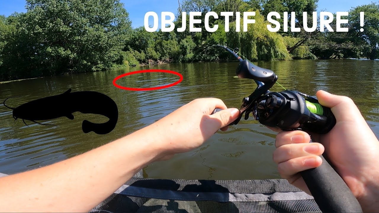 OBJECTIF SILURE en COUP du SOIR ! - Pêche en float tube sur la Vilaine
