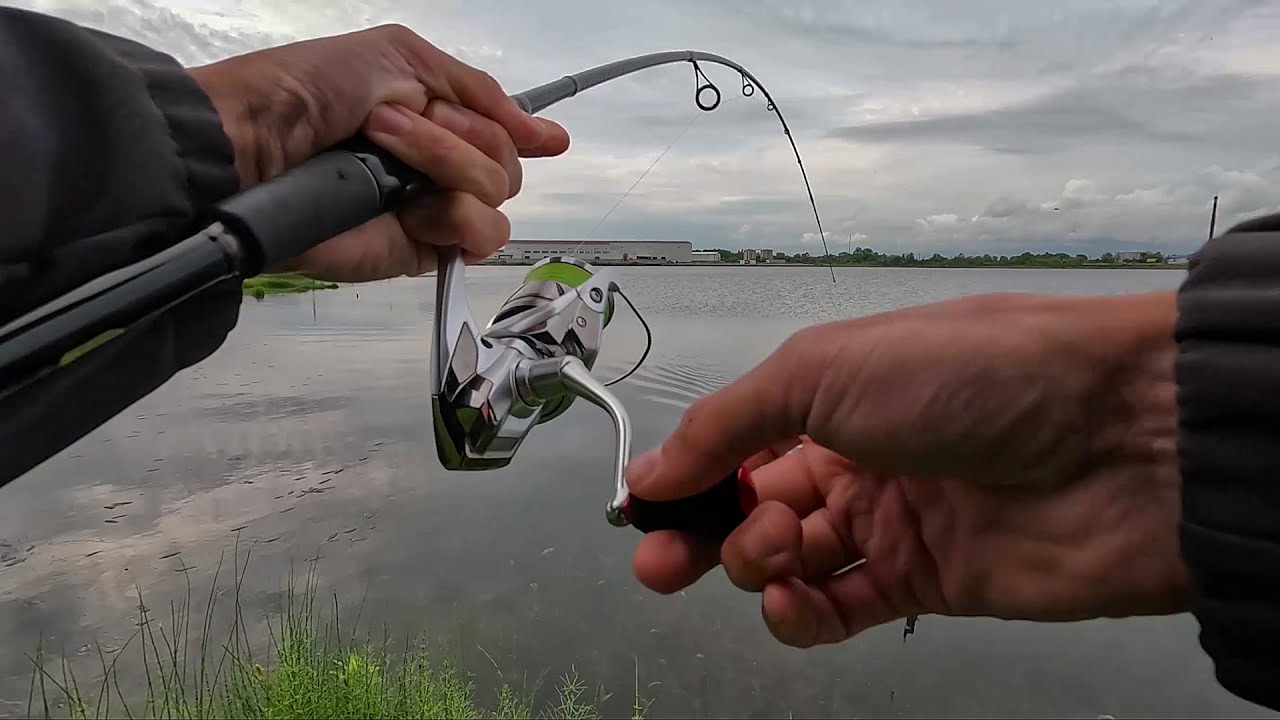თევზაობა ფოთში დიდ ტბაზე აქტიურ წერზე 🎣 ნაწვიმარზე ☁️🌧 შედეგიანი გასვლა. ღრუბლიანი ამინდი ამართლებს.