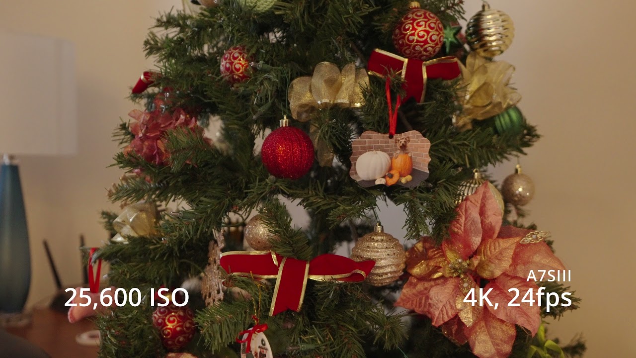 A7IV vs A7SIII | Low-Light Video Comparison