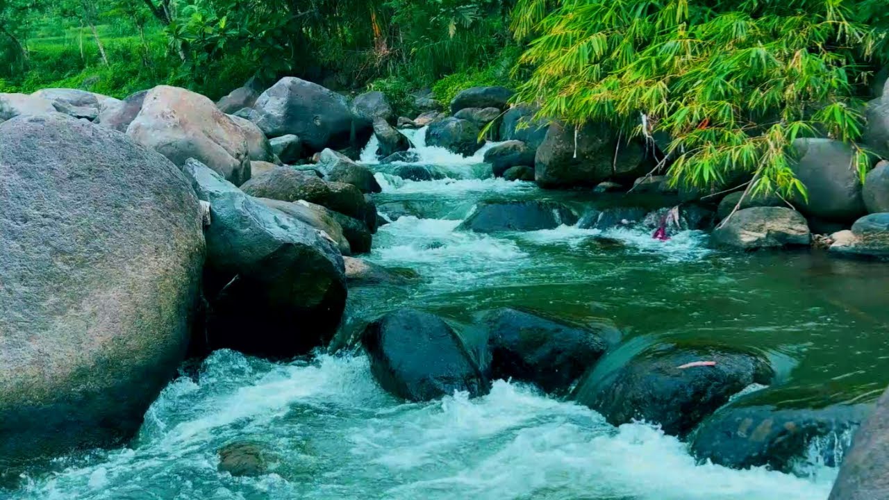 Tranquil Water Sounds - Gentle River Flow for Restful Sleep, Healing & Mindfulness