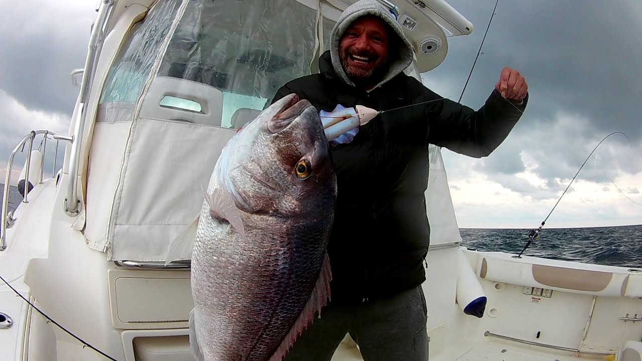 Sert havada gelen d&uuml;nya rekoru fangri mercan A new maximun size word record red porgy Pagrus Pagrus